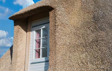 Trevellas thatch roof disadvantages